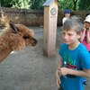 Fotografie 47 - Alpakárna, Funpark a muzeum v Mostě