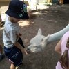 Fotografie 49 - Alpakárna, Funpark a muzeum v Mostě