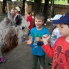 Fotografie 54 - Alpakárna, Funpark a muzeum v Mostě