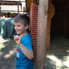 Fotografie 58 - Alpakárna, Funpark a muzeum v Mostě