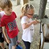Fotografie 61 - Alpakárna, Funpark a muzeum v Mostě