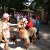 Fotografie 68 - Alpakárna, Funpark a muzeum v Mostě