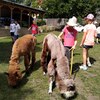 Fotografie 73 - Alpakárna, Funpark a muzeum v Mostě