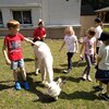Fotografie 77 - Alpakárna, Funpark a muzeum v Mostě