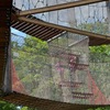 Fotografie 34 - Muzeum + Alpakárna + Fajn park