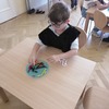 Fotografie 13 - Zubr Emil v pravěku