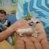 Fotografie 14 - Modelujeme lamy