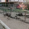 Fotografie 3 - Exkurze do Bioparku GT a Barevný den