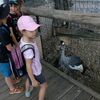 Fotografie 5 - Exkurze do Bioparku GT a Barevný den