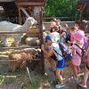 Fotografie 8 - Exkurze do Bioparku GT a Barevný den
