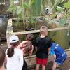 Fotografie 16 - Exkurze do Bioparku GT a Barevný den