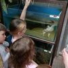 Fotografie 17 - Exkurze do Bioparku GT a Barevný den