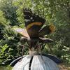 Fotografie 62 - Školní výlet - FAJNPARK