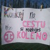 Fotografie 4 - T-Mobile Olympijský běh