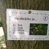 Fotografie 2 - Přírodovědná bojovka