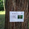 Fotografie 17 - Přírodovědná bojovka