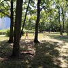 Fotografie 27 - Přírodovědná bojovka