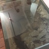 Fotografie 4 - Klášter, krypta a grotta  v Teplicích