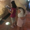 Fotografie 13 - Klášter, krypta a grotta  v Teplicích