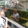 Fotografie 3 - Návštěva bioparku