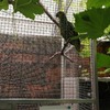 Fotografie 13 - Návštěva bioparku