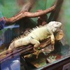 Fotografie 14 - Návštěva bioparku