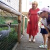Fotografie 6 - Biopark Gymnázium Teplice