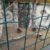Fotografie 8 - Biopark Gymnázium Teplice