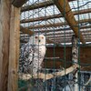 Fotografie 9 - Biopark Gymnázium Teplice
