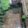 Fotografie 11 - Biopark Gymnázium Teplice