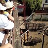 Fotografie 19 - Biopark Gymnázium Teplice