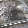 Fotografie 21 - Biopark Gymnázium Teplice