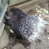 Fotografie 23 - Biopark Gymnázium Teplice