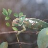 Fotografie 27 - Biopark Gymnázium Teplice