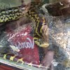 Fotografie 28 - Biopark Gymnázium Teplice