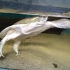 Fotografie 29 - Biopark Gymnázium Teplice