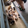 Fotografie 31 - Biopark Gymnázium Teplice