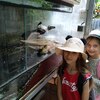 Fotografie 32 - Biopark Gymnázium Teplice