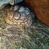 Fotografie 33 - Biopark Gymnázium Teplice