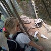 Fotografie 34 - Biopark Gymnázium Teplice