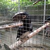 Fotografie 35 - Biopark Gymnázium Teplice