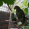 Fotografie 36 - Biopark Gymnázium Teplice