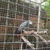 Fotografie 37 - Biopark Gymnázium Teplice