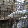 Fotografie 38 - Biopark Gymnázium Teplice