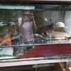 Fotografie 40 - Biopark Gymnázium Teplice