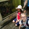 Fotografie 44 - Biopark Gymnázium Teplice
