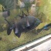 Fotografie 45 - Biopark Gymnázium Teplice