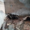 Fotografie 47 - Biopark Gymnázium Teplice