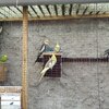 Fotografie 48 - Biopark Gymnázium Teplice