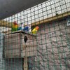 Fotografie 49 - Biopark Gymnázium Teplice